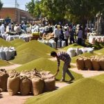 MP में साढ़े 3 लाख मीट्रिक टन मूंग की खरीदी, CM डॉ. यादव ने की समीक्षा MP में साढ़े 3 लाख मीट्रिक टन मूंग की खरीदी, CM डॉ. यादव ने की समीक्षा