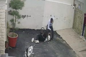 पटियाला में पिटबुल का कहर, किराए का मकान देखने गए दंपत्ति पर हमला; पति के शरीर में पड़े टांके, पत्नी ICU में पटियाला में पिटबुल का कहर, किराए का मकान देखने गए दंपत्ति पर हमला; पति के शरीर में पड़े टांके, पत्नी ICU में