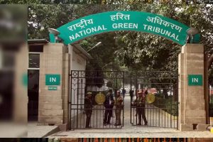 सीवेज कनेक्शन के नाम पर 17 लाख वसूले, 24 साल तक नहीं बिछी लाइन; NGT ने लगाई फटकार सीवेज कनेक्शन के नाम पर 17 लाख वसूले, 24 साल तक नहीं बिछी लाइन; NGT ने लगाई फटकार