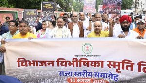 विभाजन की पीड़ा से सीख लेकर देश की एकता मजबूत करना जरूरी: CM विष्णुदेव साय