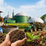 गोबर-पराली से बनेगा ईंधन, हरियाणा में 100 CBG प्लांट लगाने का लक्ष्य