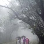 WMO रिपोर्ट का दावा, हिंद महासागर का पैटर्न बचा सकता है बारिश