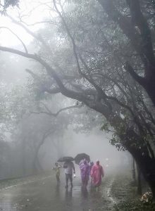 WMO रिपोर्ट का दावा, हिंद महासागर का पैटर्न बचा सकता है बारिश
