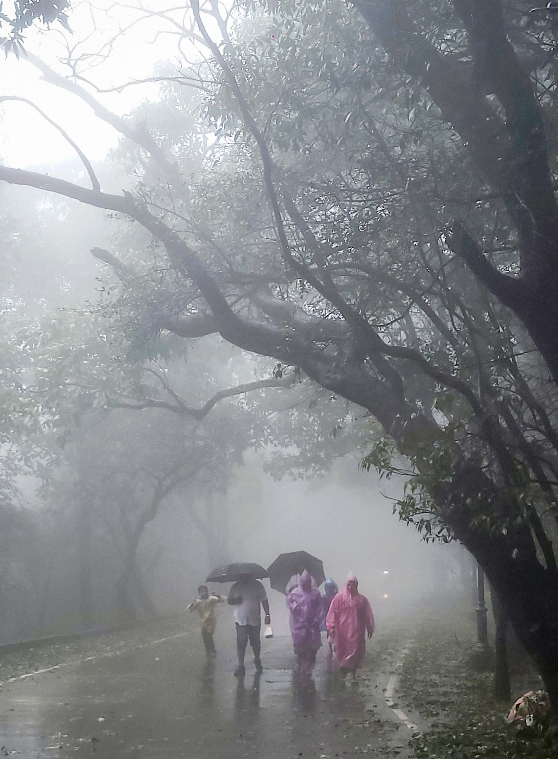 WMO रिपोर्ट का दावा, हिंद महासागर का पैटर्न बचा सकता है बारिश WMO रिपोर्ट का दावा, हिंद महासागर का पैटर्न बचा सकता है बारिश