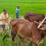 मुख्यमंत्री ने कहा – किसान परिवार से होने के नाते खेती मेरे लिए केवल आजीविका नहीं, जीवन का संस्कार मुख्यमंत्री ने कहा – किसान परिवार से होने के नाते खेती मेरे लिए केवल आजीविका नहीं, जीवन का संस्कार