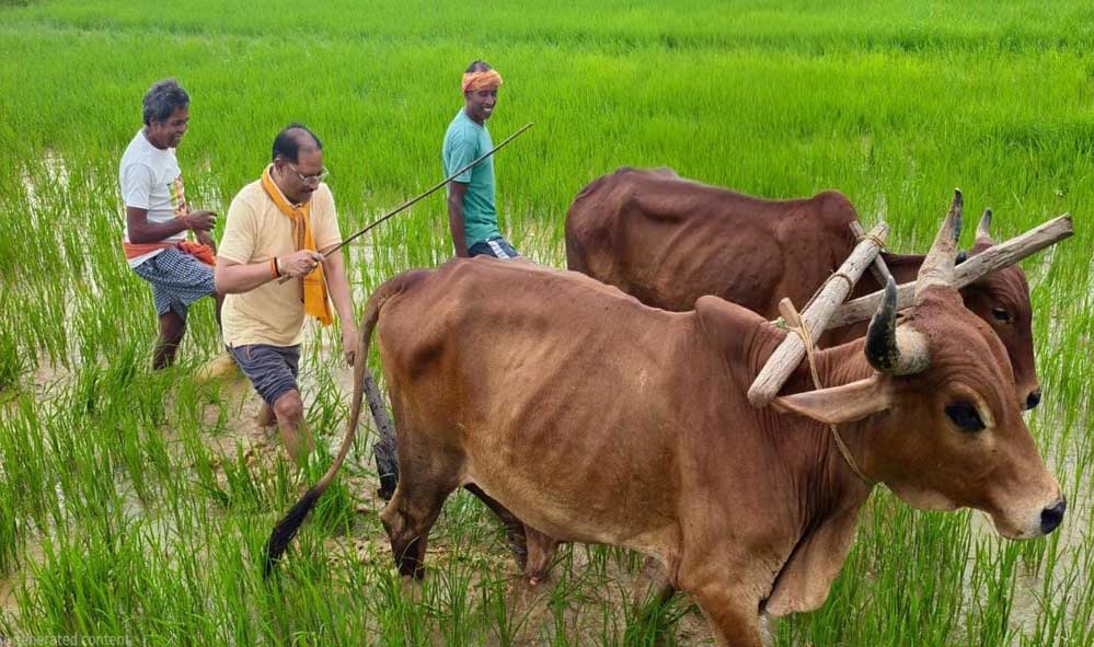 मुख्यमंत्री ने कहा – किसान परिवार से होने के नाते खेती मेरे लिए केवल आजीविका नहीं, जीवन का संस्कार मुख्यमंत्री ने कहा – किसान परिवार से होने के नाते खेती मेरे लिए केवल आजीविका नहीं, जीवन का संस्कार