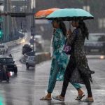 मध्य प्रदेश में जुलाई की बारिश औसत से 13% कम, 55 में 42 जिलों में सामान्य से कम वर्षा; जानें मौसम का नया अपडेट