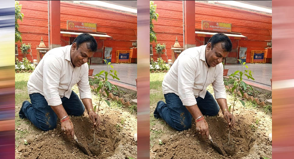 प्रदेश उपाध्यक्ष महेश सिनकर ने आम के वृक्ष मंदिर परिसर में लगाए प्रदेश उपाध्यक्ष महेश सिनकर ने आम के वृक्ष मंदिर परिसर में लगाए