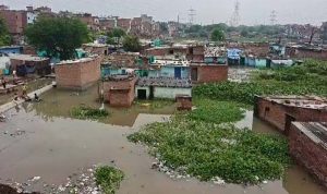 बारिश से कानपुर में बाढ़ का संकट गहराया, पांडु नदी का पानी बस्ती में घुसा; दो दर्जन गांवों पर खतरा बारिश से कानपुर में बाढ़ का संकट गहराया, पांडु नदी का पानी बस्ती में घुसा; दो दर्जन गांवों पर खतरा