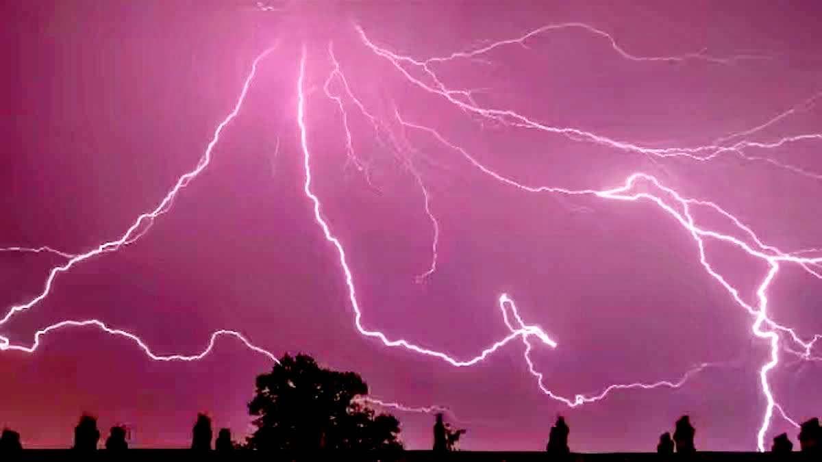 धान रोपाई के दौरान गिरी आकाशीय बिजली, बिहार में आठ लोगों की दर्दनाक मौत