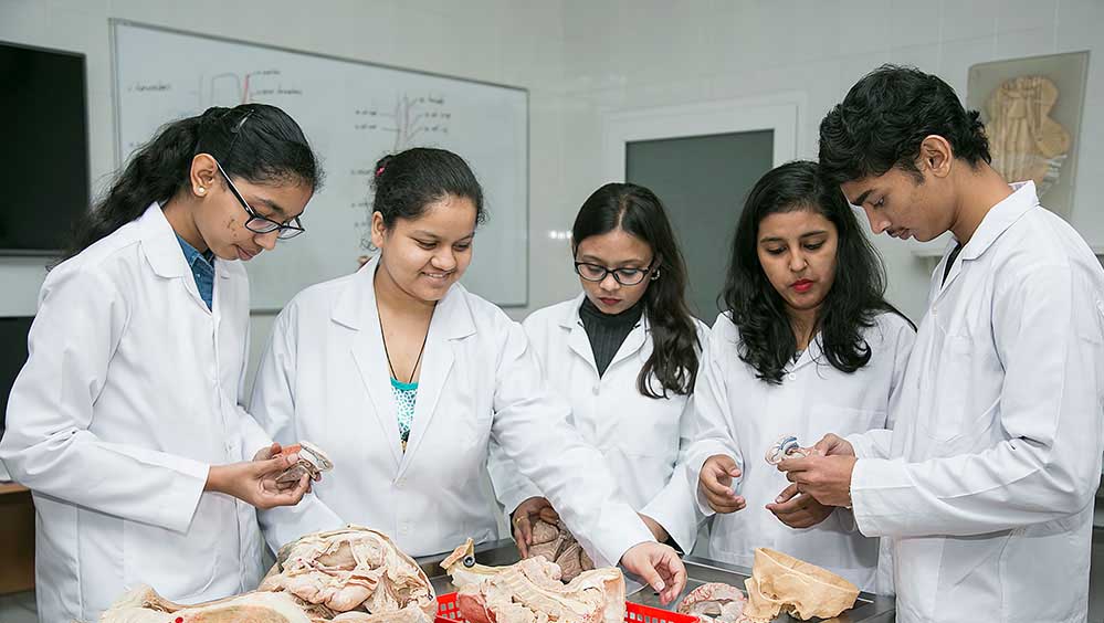 FMGE उम्मीदवारों के लिए बड़ा अपडेट: पासिंग मार्क्स में राहत देने से साफ इनकार FMGE उम्मीदवारों के लिए बड़ा अपडेट: पासिंग मार्क्स में राहत देने से साफ इनकार