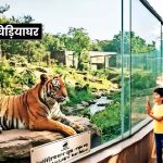 60 करोड़ से बनेगा दिल्ली जू का नया एंट्रेंस प्लाजा, बस यात्रियों को भी मिलेगी सीधी एंट्री