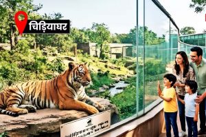 60 करोड़ से बनेगा दिल्ली जू का नया एंट्रेंस प्लाजा, बस यात्रियों को भी मिलेगी सीधी एंट्री