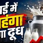 दूध हुआ महंगा, कीमतों में ₹9 तक की बढ़ोतरी; त्योहारों से पहले उपभोक्ताओं पर बढ़ा बोझ