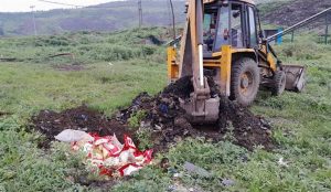 देवास में मिलावटी मावा पर बड़ी कार्रवाई, रक्षाबंधन से पहले खाद्य विभाग ने जब्त किया एनालॉग मावा