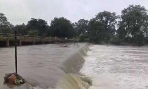 मंदाकिनी नदी का रौद्र रूप, नागौद थाने में घुसा पानी; चित्रकूट में जलभराव से हाल बेहाल