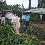 झारखंड में चाय-कॉफी खेती की शुरुआत, डेमोटांड फार्म बनेगा कृषि मॉडल