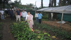 झारखंड में चाय-कॉफी खेती की शुरुआत, डेमोटांड फार्म बनेगा कृषि मॉडल