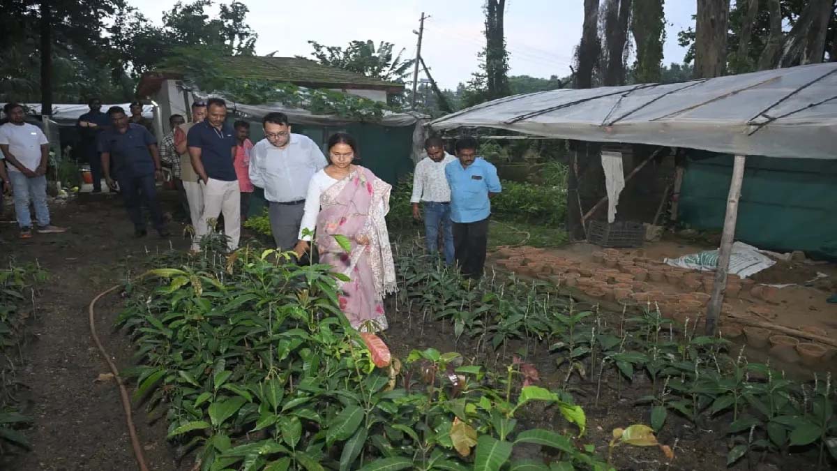 झारखंड में चाय-कॉफी खेती की शुरुआत, डेमोटांड फार्म बनेगा कृषि मॉडल झारखंड में चाय-कॉफी खेती की शुरुआत, डेमोटांड फार्म बनेगा कृषि मॉडल