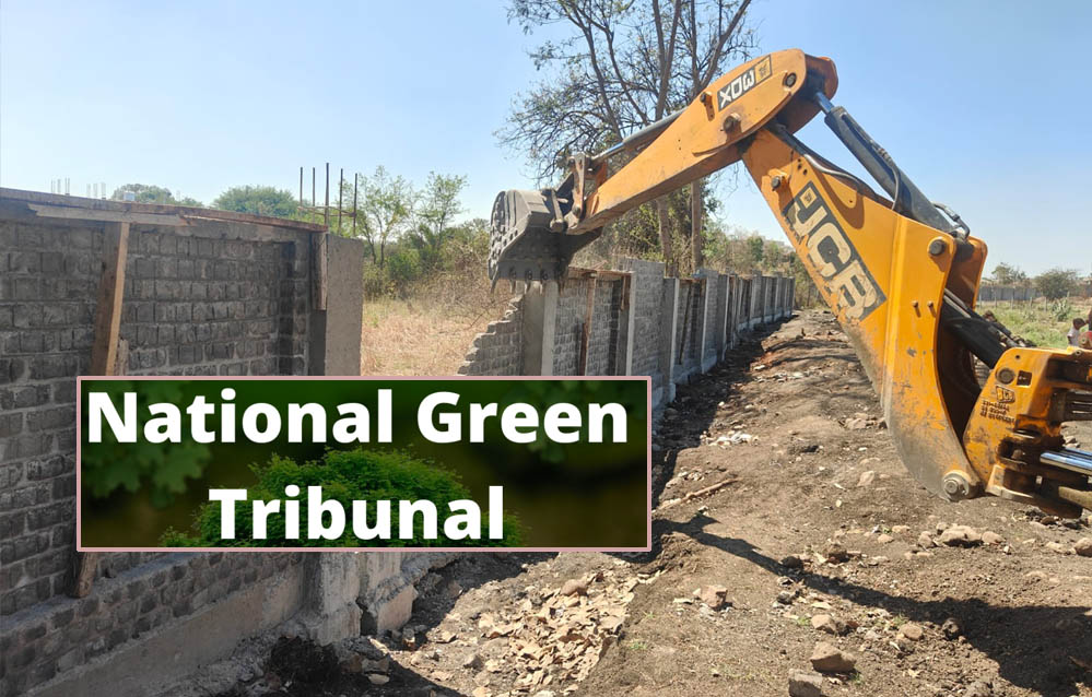 NGT का बड़ा एक्शन! भोज वेटलैंड में अतिक्रमण नहीं होगा बर्दाश्त, अधिकारियों की तय हुई जवाबदेही NGT का बड़ा एक्शन! भोज वेटलैंड में अतिक्रमण नहीं होगा बर्दाश्त, अधिकारियों की तय हुई जवाबदेही