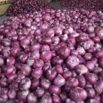 करनाल में प्याज 60, लहसुन 240 रुपये किलो तक पहुंचा, तड़के से लेकर स्ट्रीट फूड तक महंगा करनाल में प्याज 60, लहसुन 240 रुपये किलो तक पहुंचा, तड़के से लेकर स्ट्रीट फूड तक महंगा