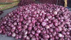 करनाल में प्याज 60, लहसुन 240 रुपये किलो तक पहुंचा, तड़के से लेकर स्ट्रीट फूड तक महंगा करनाल में प्याज 60, लहसुन 240 रुपये किलो तक पहुंचा, तड़के से लेकर स्ट्रीट फूड तक महंगा