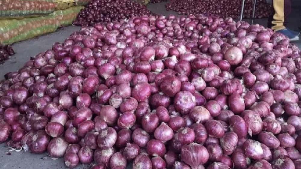 करनाल में प्याज 60, लहसुन 240 रुपये किलो तक पहुंचा, तड़के से लेकर स्ट्रीट फूड तक महंगा