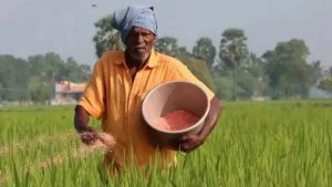 किसानों को खाद मिलने में नहीं होगी परेशानी! बिहार में डिजिटल होगी उर्वरक बिक्री व्यवस्था