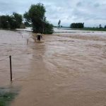रायपुररानी में टांगरी का कहर, खेतों के बाद खटौली-खेड़ी सड़क भी नदी में बही