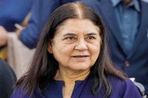 51 साल पुराने भूमि विवाद में मेनका गांधी को झटका, अरबों की 522 एकड़ जमीन पर बड़ा फैसला