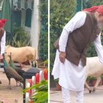 लाल किले रवाना होने से पहले PM मोदी ने खिलाया चारा-दाना, वीडियो हुआ वायरल
