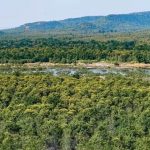 Forest Land Report: देश में सबसे ज्यादा वन भूमि का लैंड यूज बदला, MP में 371.54 वर्ग किमी जंगल हुए कम Forest Land Report: देश में सबसे ज्यादा वन भूमि का लैंड यूज बदला, MP में 371.54 वर्ग किमी जंगल हुए कम