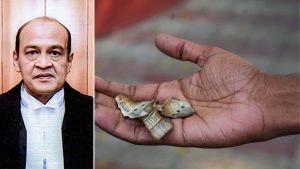 सुप्रीम कोर्ट ने जली नकदी मामले की एफआईआर और एसआईटी मांग ठुकराई