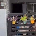 Indore Raid: मेडिकल विभाग के स्टोरकीपर राकेश गोरखे के कई ठिकानों पर कार्रवाई, 110% अधिक संपत्ति मिली Indore Raid: मेडिकल विभाग के स्टोरकीपर राकेश गोरखे के कई ठिकानों पर कार्रवाई, 110% अधिक संपत्ति मिली