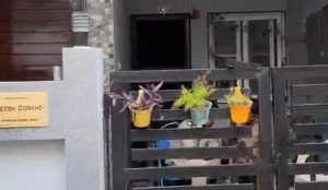 Indore Raid: मेडिकल विभाग के स्टोरकीपर राकेश गोरखे के कई ठिकानों पर कार्रवाई, 110% अधिक संपत्ति मिली Indore Raid: मेडिकल विभाग के स्टोरकीपर राकेश गोरखे के कई ठिकानों पर कार्रवाई, 110% अधिक संपत्ति मिली