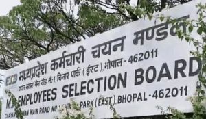 मध्य प्रदेश में 2306 सरकारी नौकरियां, ESB ने शुरू किए आवेदन; पटवारी और कृषि मंडी बोर्ड में सबसे ज्यादा पद
