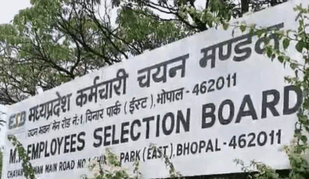 मध्य प्रदेश में 2306 सरकारी नौकरियां, ESB ने शुरू किए आवेदन; पटवारी और कृषि मंडी बोर्ड में सबसे ज्यादा पद