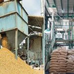 रिकॉर्ड धान उत्पादन बीच हरियाणा राइस मिलर्स को मिलेगा बोनस, समस्याएं सुलझेंगी रिकॉर्ड धान उत्पादन बीच हरियाणा राइस मिलर्स को मिलेगा बोनस, समस्याएं सुलझेंगी