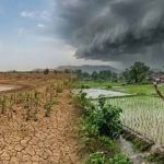 मेरठ-मुजफ्फरनगर समेत 5 जिलों में सामान्य से 120% अधिक बारिश, कई जिले पिछड़े