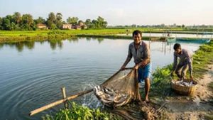 किसानों के लिए कमाई का नया रास्ता, झींगा पालन पर मिलेगा बड़ा अनुदान
