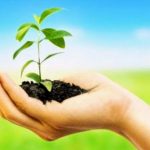 अधिमान्य पत्रकार नेतृत्व समिति का महा-वृक्षारोपण अभियान: मध्य प्रदेश में 3000 और छत्तीसगढ़ में 1000 पौधे रोपे गए