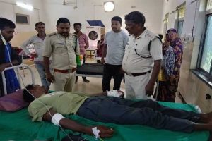 बाघिन ने किया चरवाहे पर हमला, भैंसों की वफादारी से बची जान