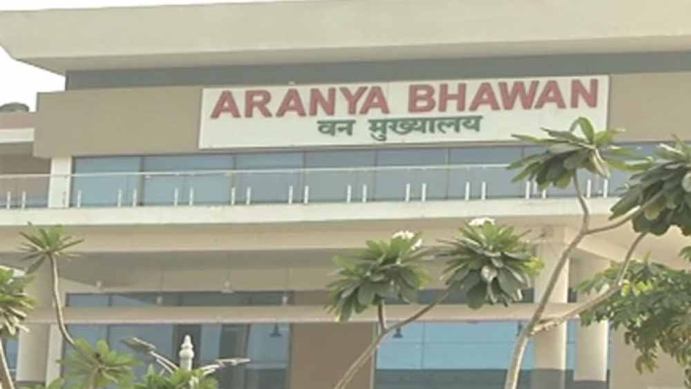छत्तीसगढ़ में IFS प्रशिक्षुओं की फील्ड तैनाती, परख सारडा को सौंपी गई सुकमा की कमान