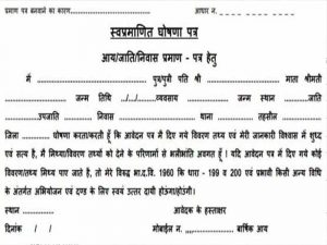 दुर्ग में जाति प्रमाण पत्र जांच पर बड़ा फैसला, 115 आवेदन हुए निरस्त