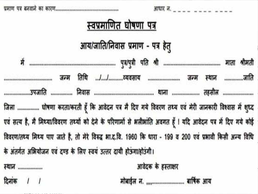 दुर्ग में जाति प्रमाण पत्र जांच पर बड़ा फैसला, 115 आवेदन हुए निरस्त दुर्ग में जाति प्रमाण पत्र जांच पर बड़ा फैसला, 115 आवेदन हुए निरस्त
