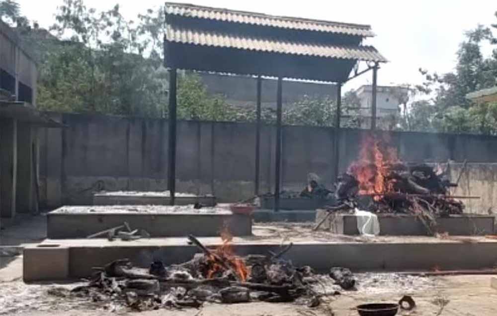 मुक्तिधाम में कुत्तों का अंतिम संस्कार कराने पर कार्रवाई, Bilaspur में टास्क कर्मी हटाया मुक्तिधाम में कुत्तों का अंतिम संस्कार कराने पर कार्रवाई, Bilaspur में टास्क कर्मी हटाया