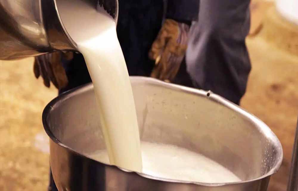 छत्तीसगढ़ में मिलावटी डेयरी उत्पादों पर कार्रवाई के संकेत, स्वास्थ्य मंत्री ने दिया सख्त संदेश