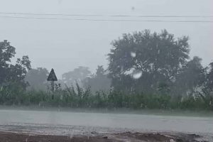 छत्तीसगढ़ में मानसून को लेकर बड़ा अपडेट, 3 दिन बाद फिर बढ़ेगी बारिश; आज रायपुर समेत कई क्षेत्रों में बरसेंगे बादल