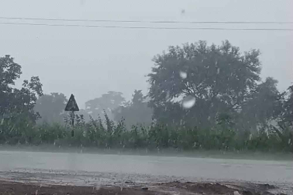 छत्तीसगढ़ में मानसून को लेकर बड़ा अपडेट, 3 दिन बाद फिर बढ़ेगी बारिश; आज रायपुर समेत कई क्षेत्रों में बरसेंगे बादल छत्तीसगढ़ में मानसून को लेकर बड़ा अपडेट, 3 दिन बाद फिर बढ़ेगी बारिश; आज रायपुर समेत कई क्षेत्रों में बरसेंगे बादल