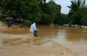 Bastar में बारिश का कहर! इंद्रावती नदी खतरे के निशान से ऊपर, नदी-नाले उफान पर